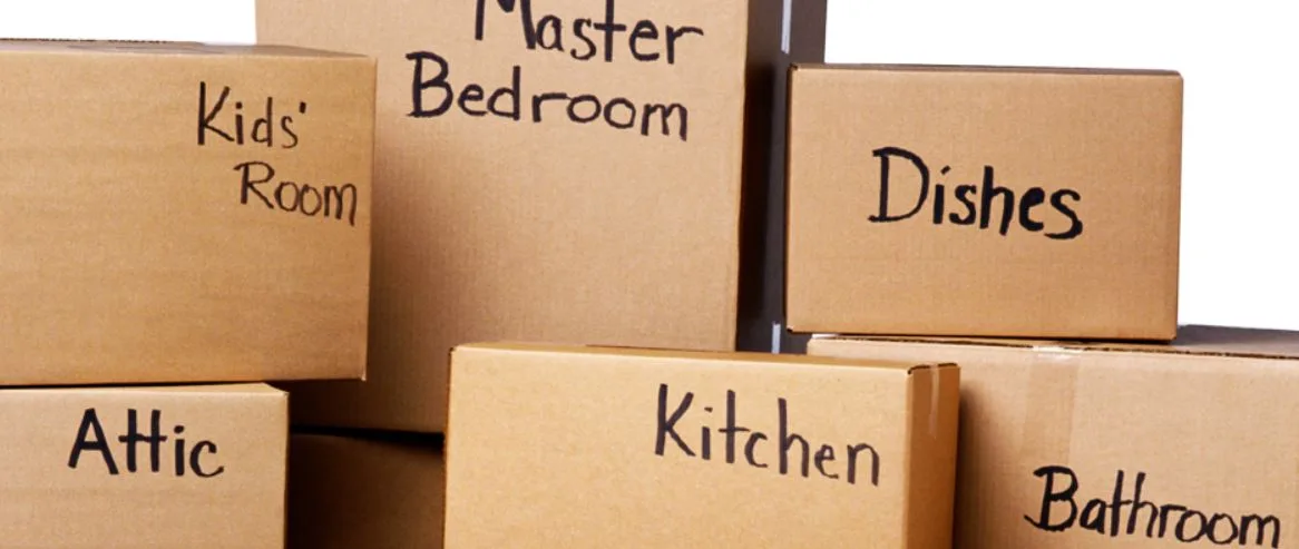 Eleven Boxes Labelled "Misc" and the Truth About Moving Day