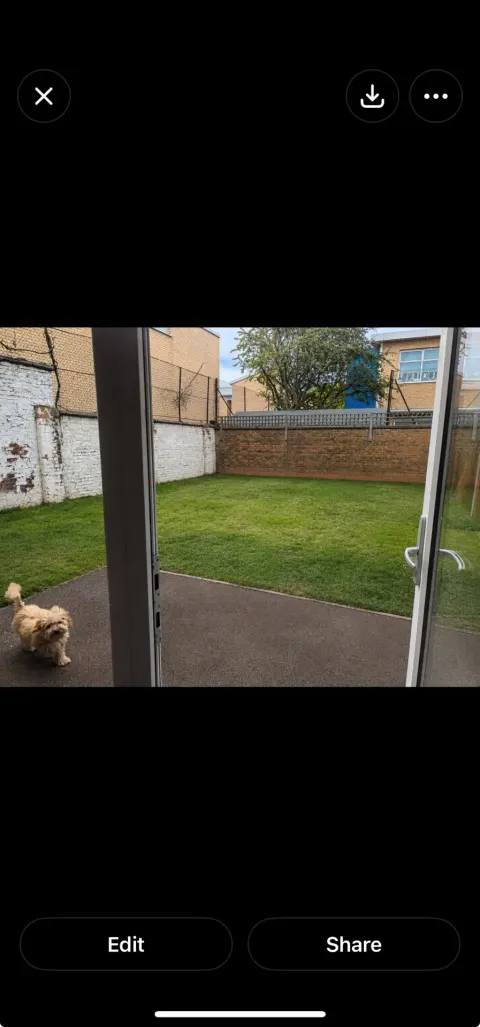 Garden - 3-bed house in Hammersmith & Fulham