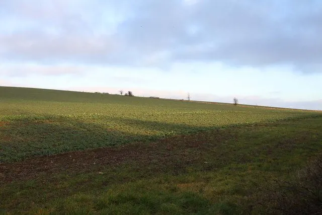 Arable field near Cumnor Hill
