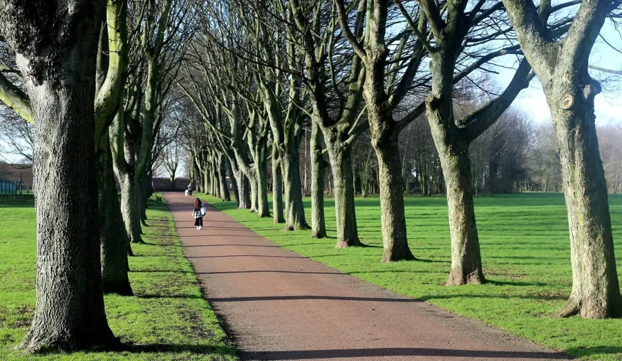 Clifton Park Footpaths , Rotherham