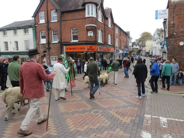 The Sheep pass the cross roads on Tring High Street